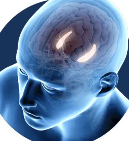 Billionaire Brain Wave